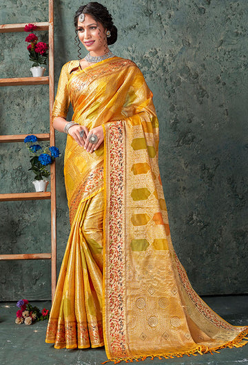 Multicolor Woven Organza Saree for Party